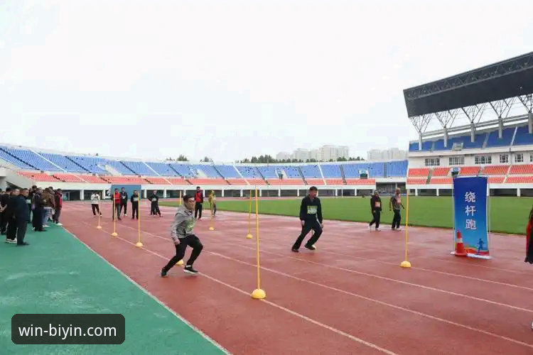 必赢体育平台最新版本获取与安全验证实用指南